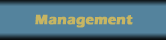 tlmarketing-management